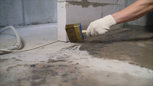 Top rated local Vapor Barrier Installation specialists in Lovettsville, VA